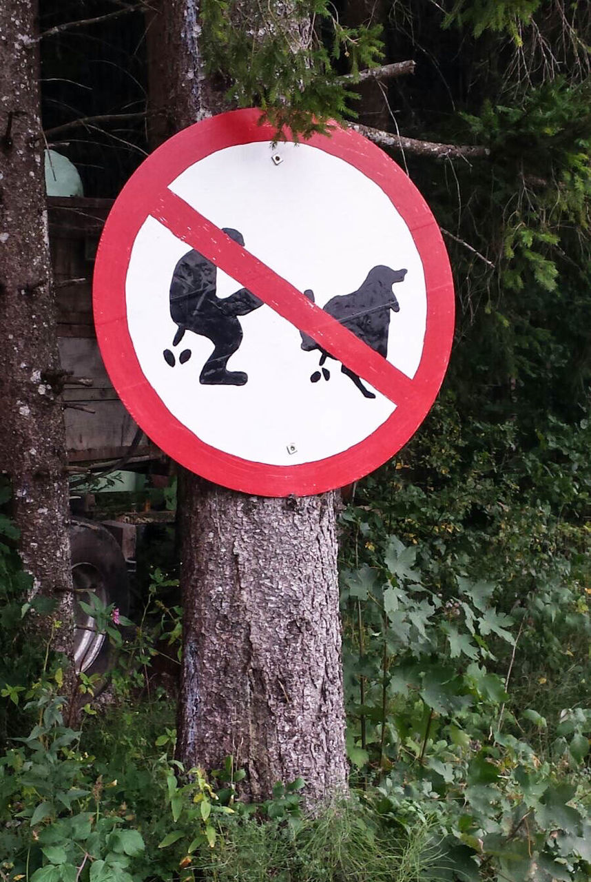 No dog feces signboard on tree