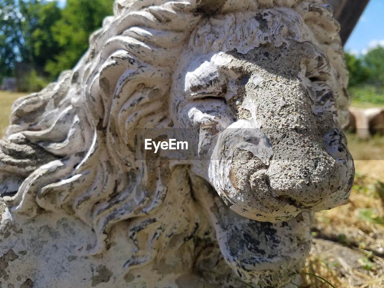 CLOSE-UP OF STATUE AGAINST TREES