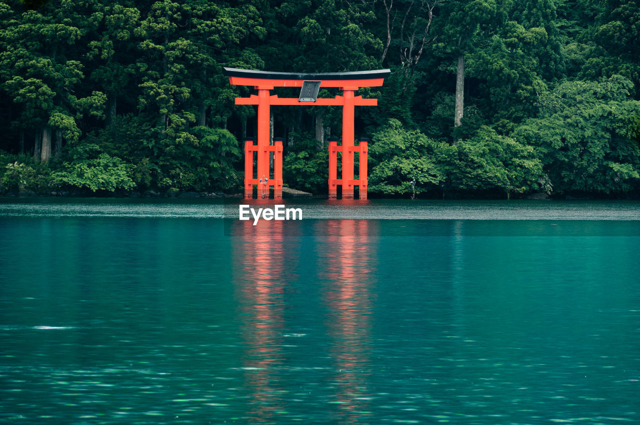 Built structure of japanese  torii gate in lake against trees in forest of hakone shrine.