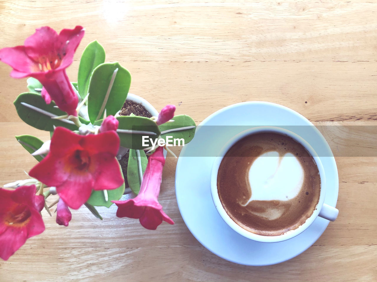 CLOSE-UP OF COFFEE ON TABLE