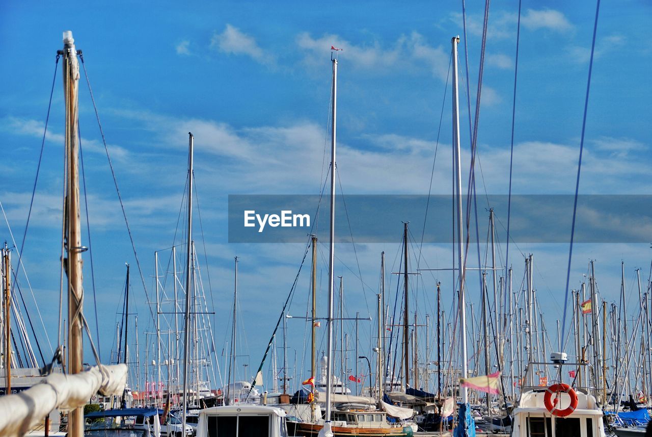 Masts of sailboats at harbor against sky