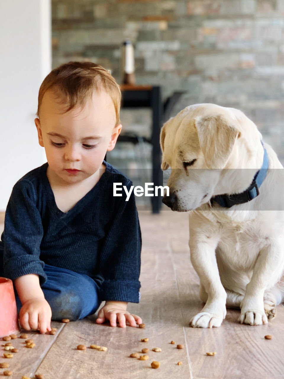 Portrait of cute boy with dog