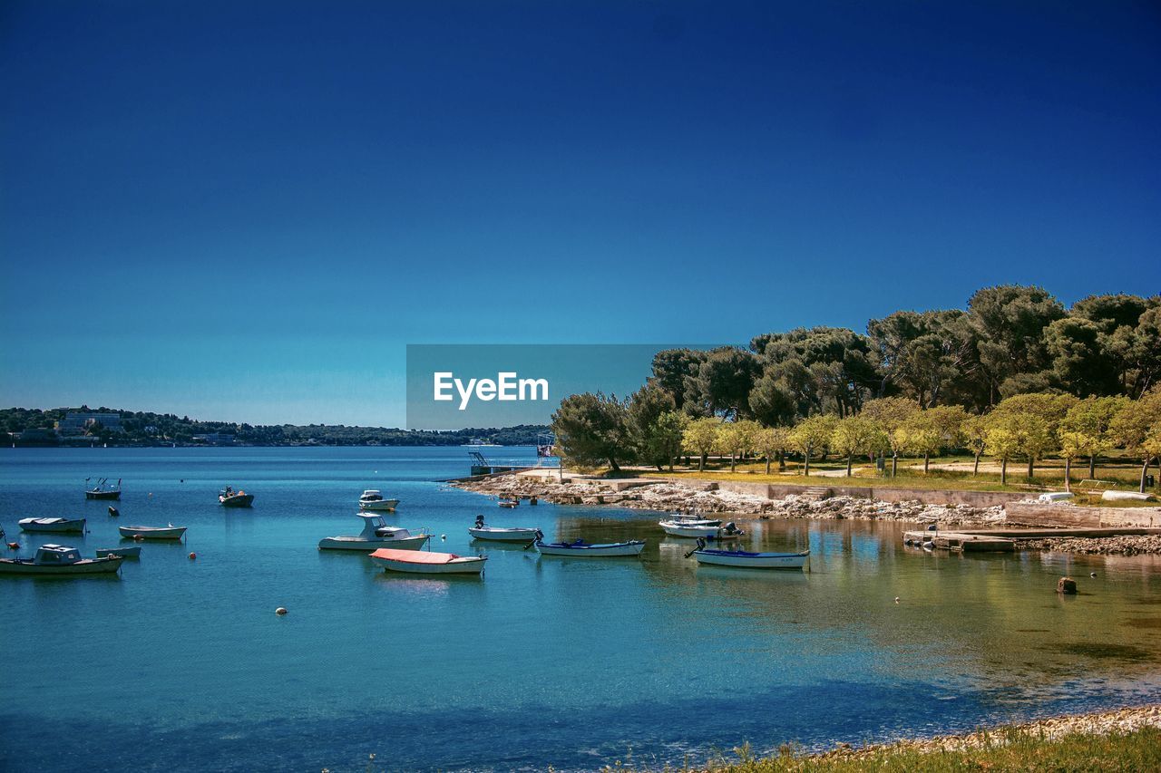 Sailboats in sea against clear blue sky