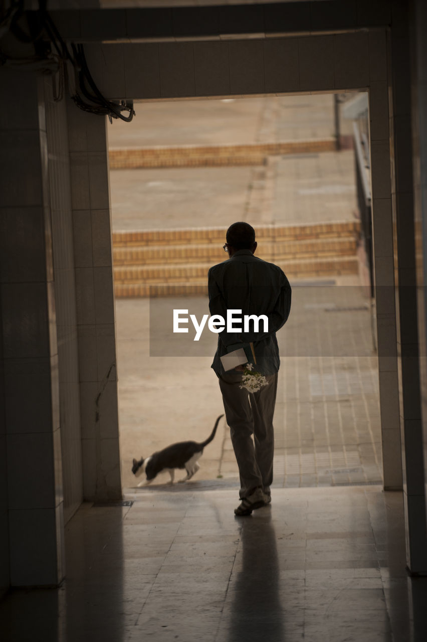 REAR VIEW OF MAN WALKING DOG ON FLOOR