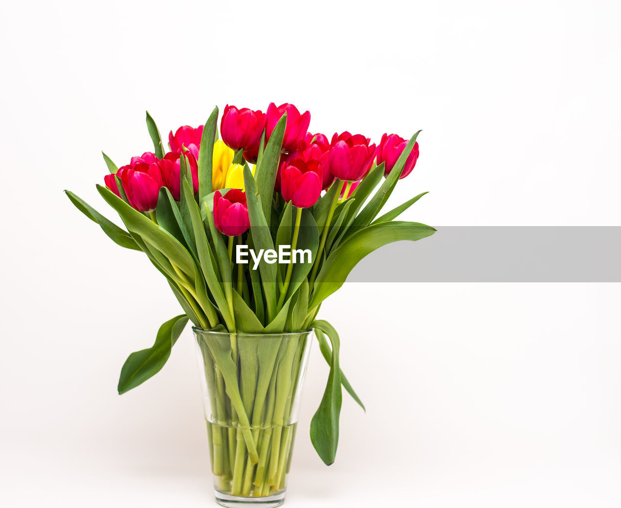 CLOSE-UP OF FLOWER BOUQUET AGAINST WHITE BACKGROUND