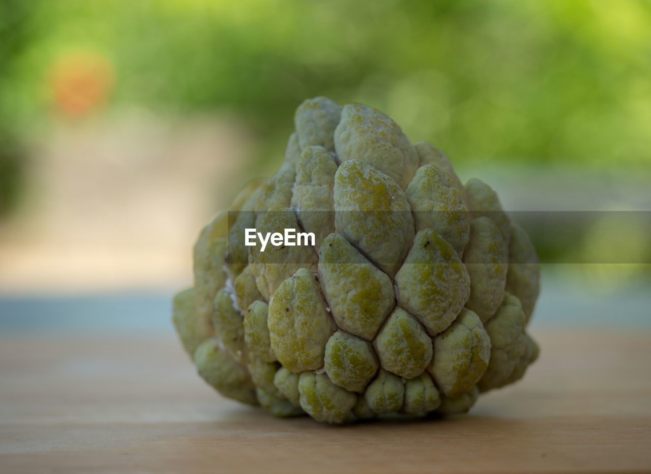 Close-up of fruit on table