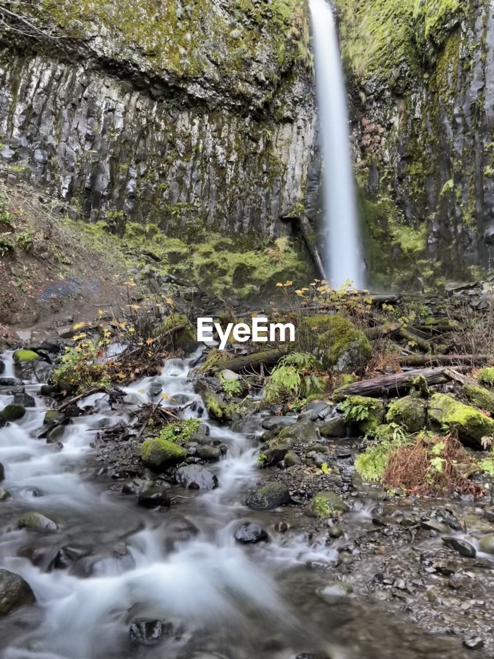 SCENIC VIEW OF WATERFALL