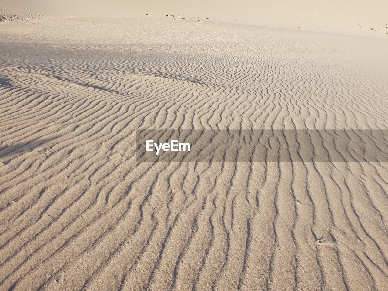 HIGH ANGLE VIEW OF SAND DUNE IN DESERT