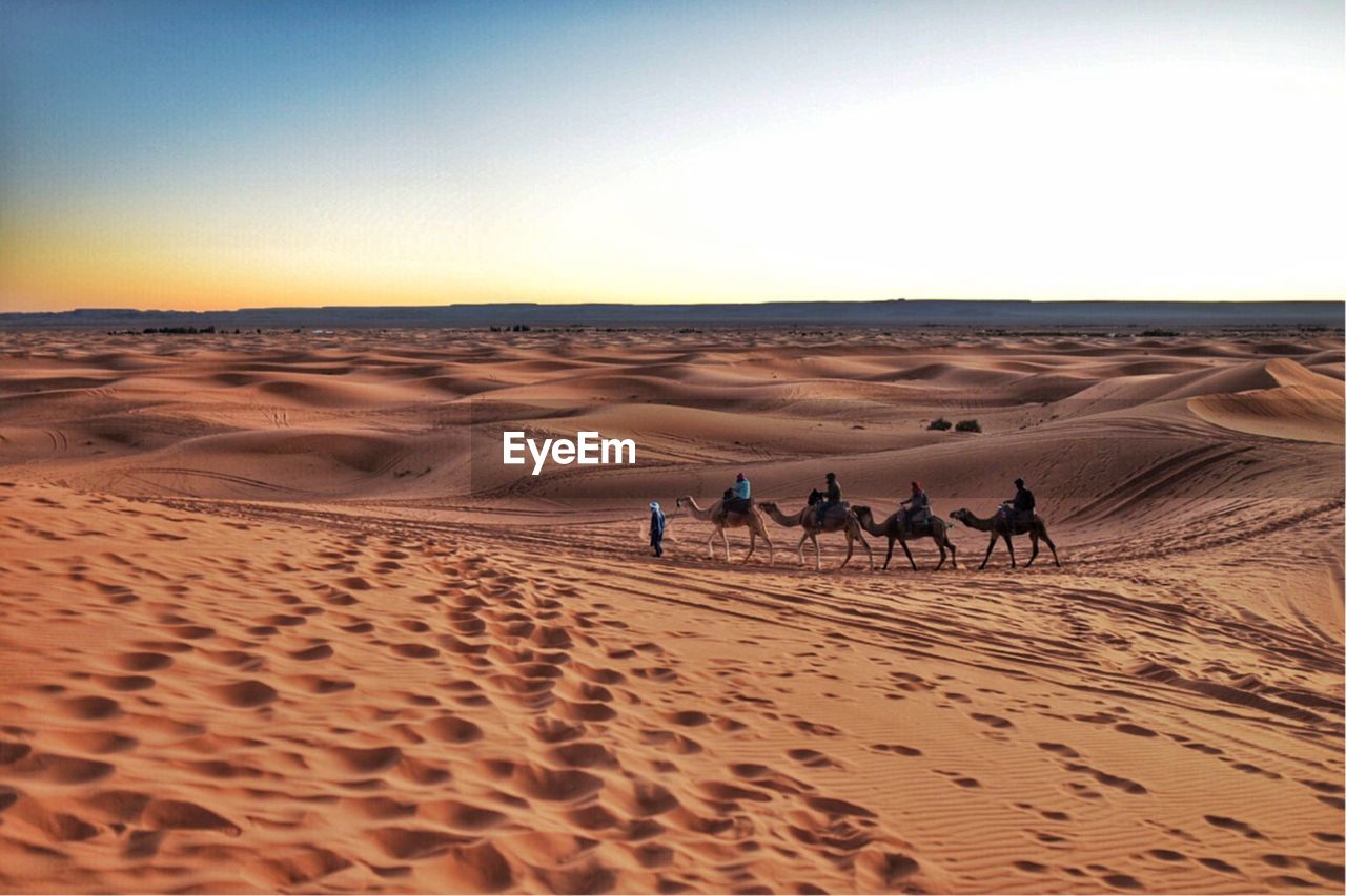 The caravan at sahara desert