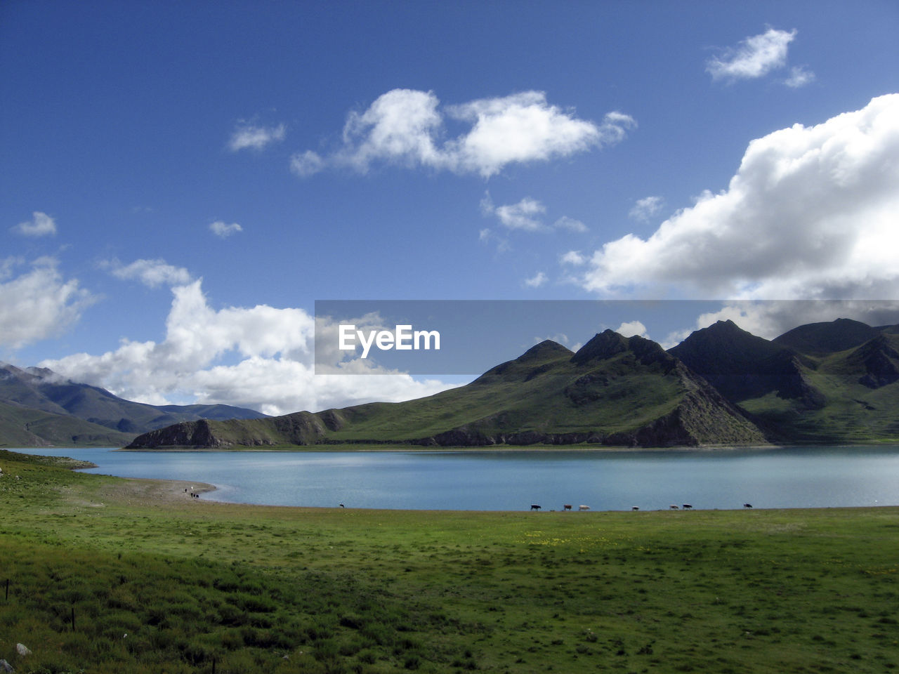 Below the green mountains is a beautiful, quiet, blue, sacred lake where cattle graze