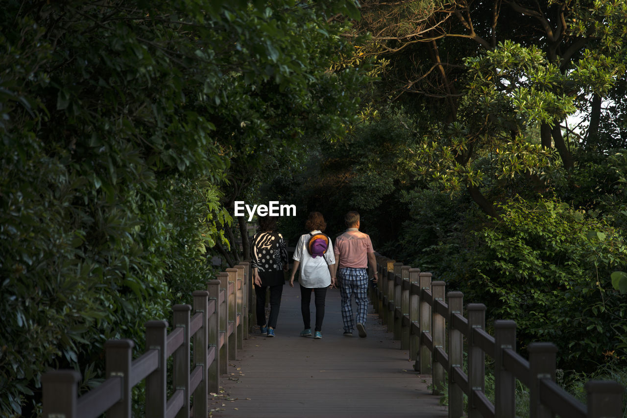 Rear view of people walking on footbridge in forest