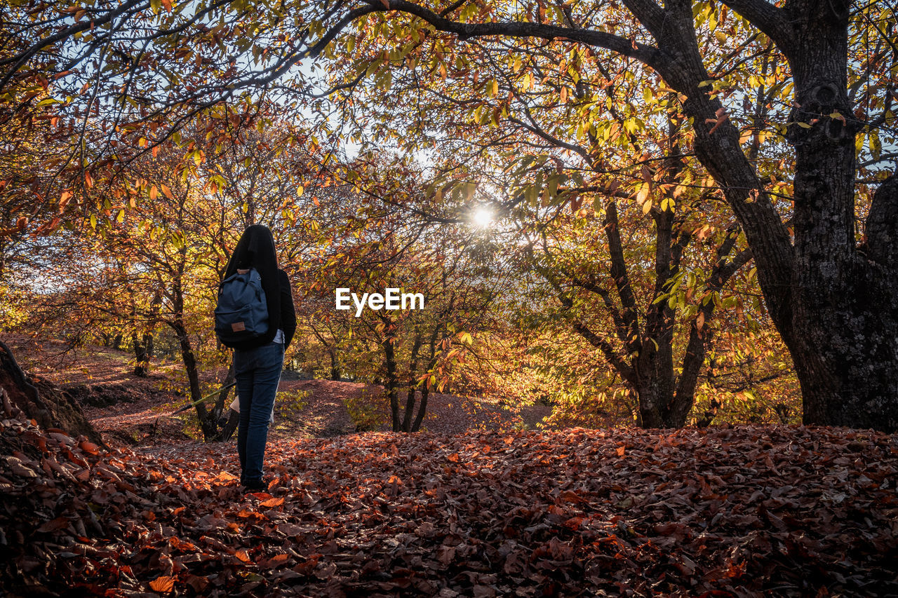 REAR VIEW OF WOMAN STANDING BY TREE DURING AUTUMN