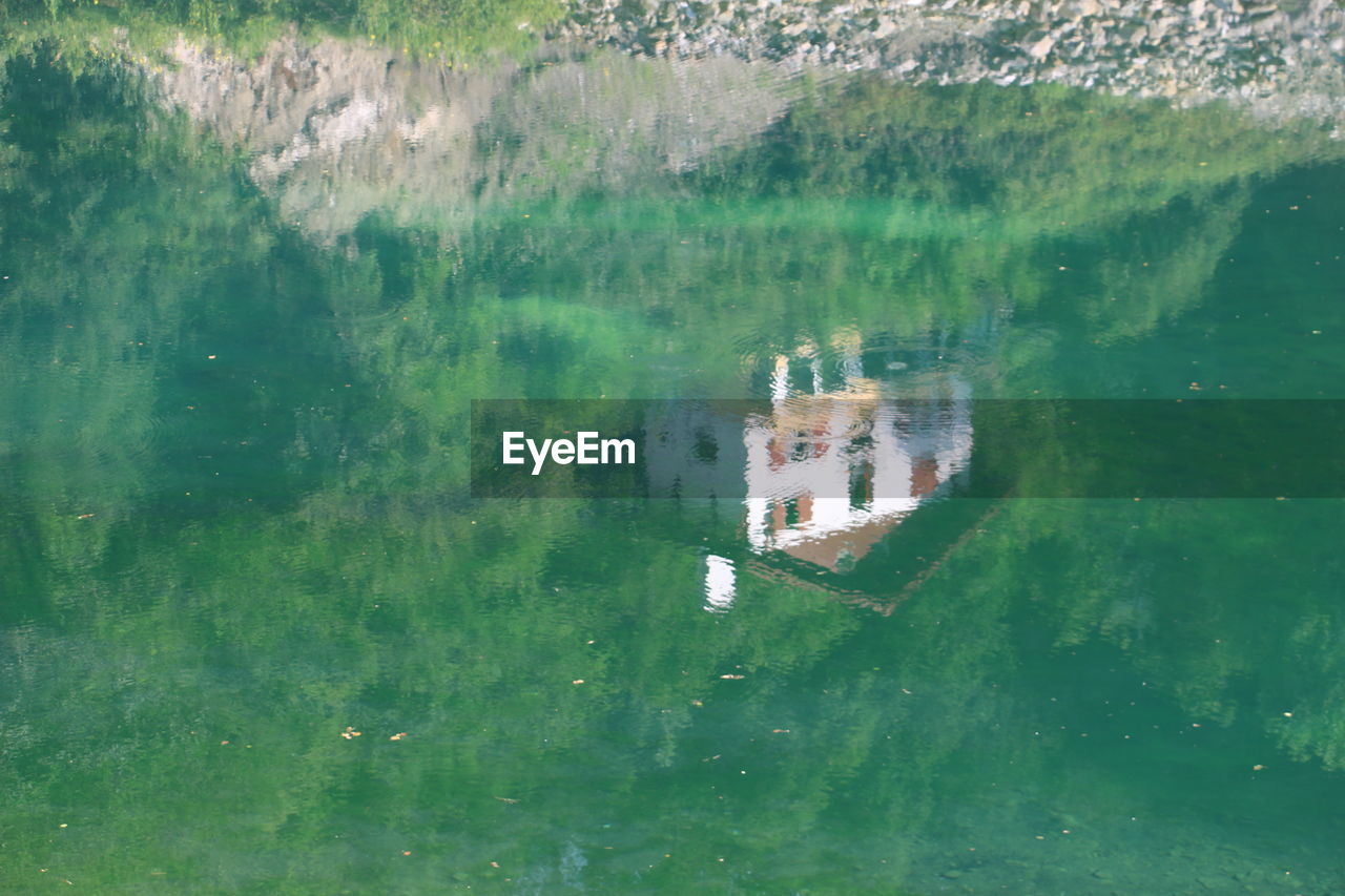 REFLECTION OF TREES ON WATER