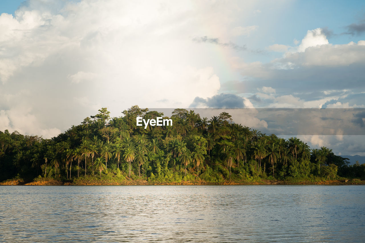 SCENIC VIEW OF LAKE AGAINST TREES