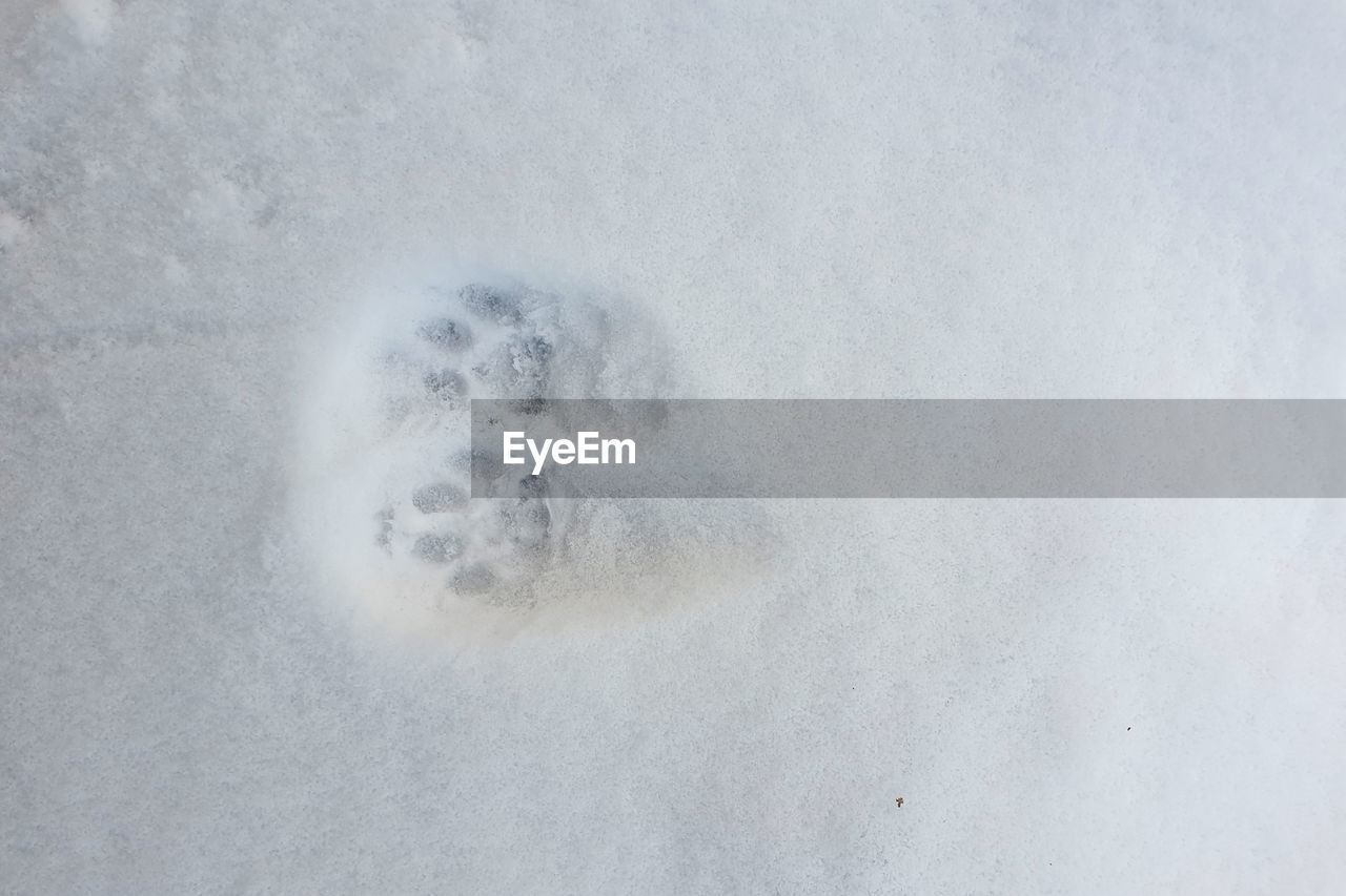 HIGH ANGLE VIEW OF SNOW COVERED WITH ICE