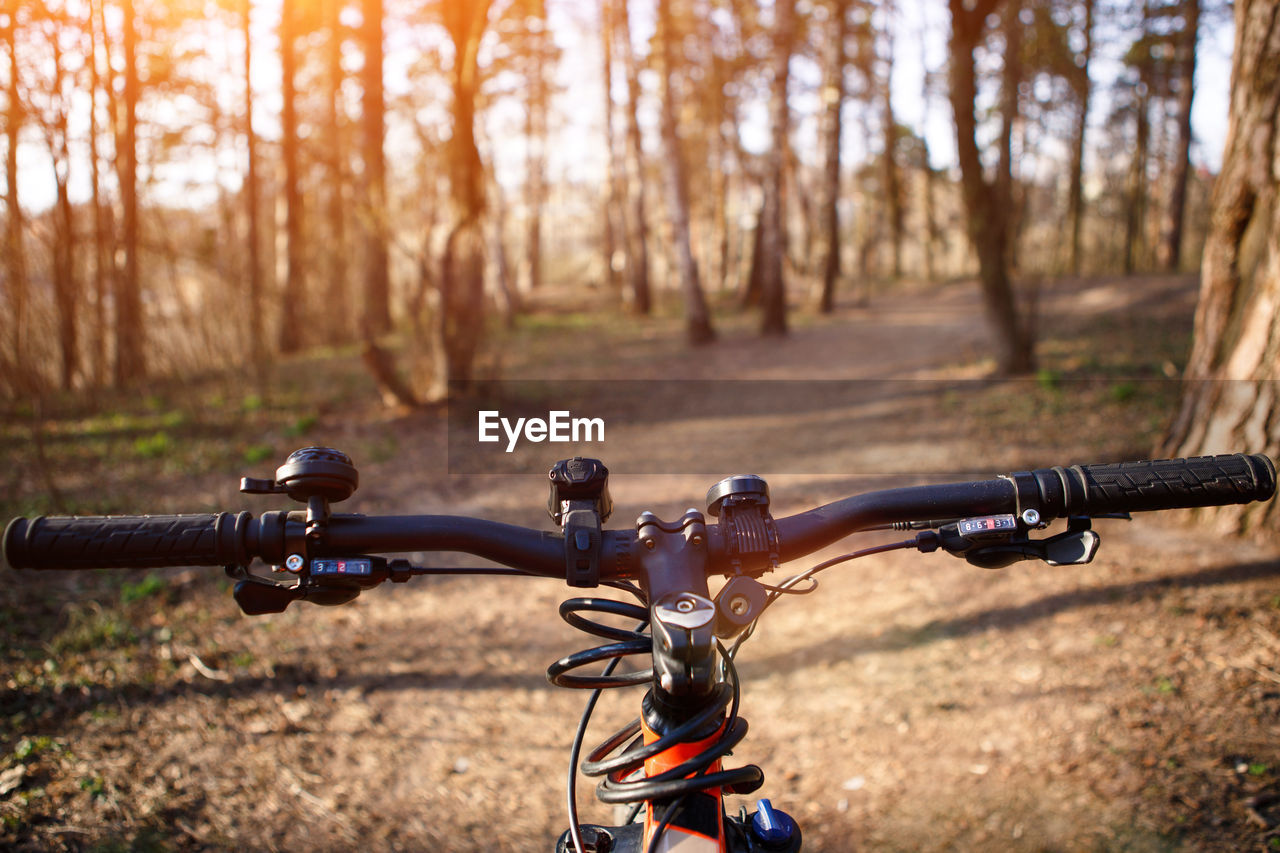 Bicycle handlebar in front of the road in the forest. theme of adventure 