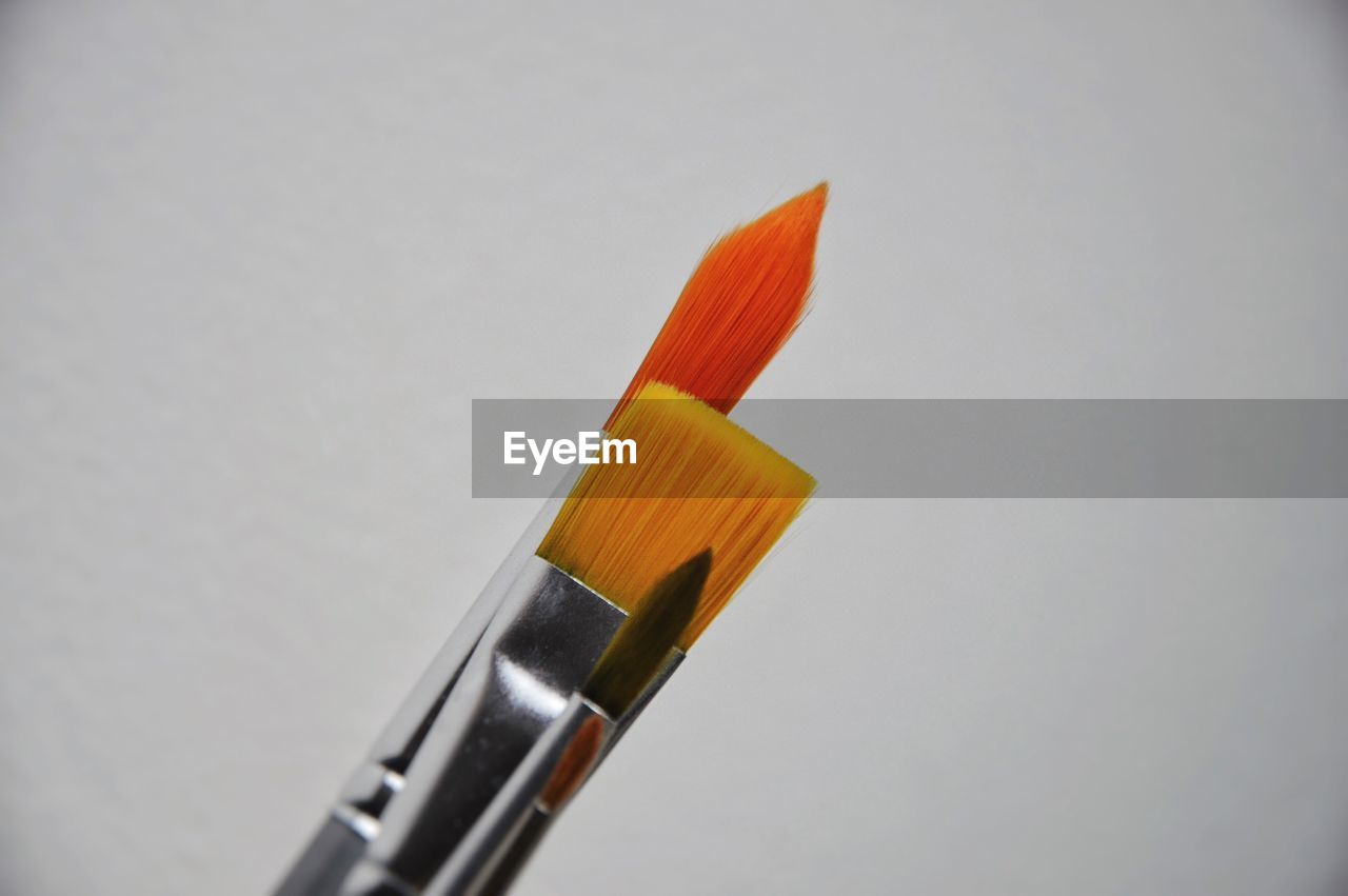 Close-up of paintbrushes against white background