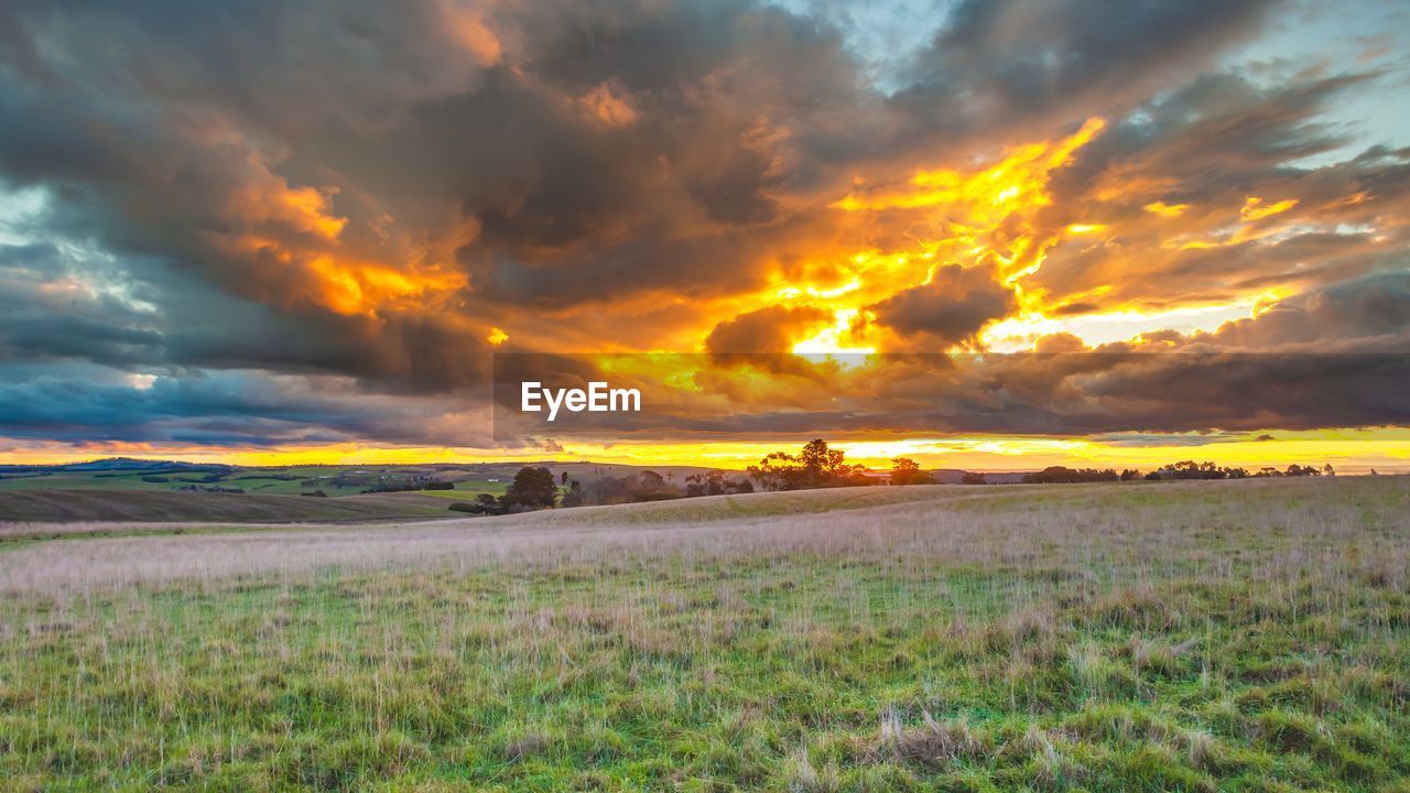 SCENIC VIEW OF FIELD AGAINST SKY DURING SUNSET