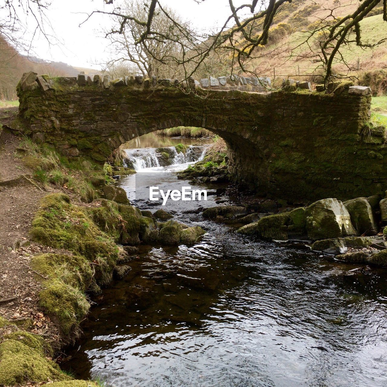 STREAM PASSING THROUGH FOREST