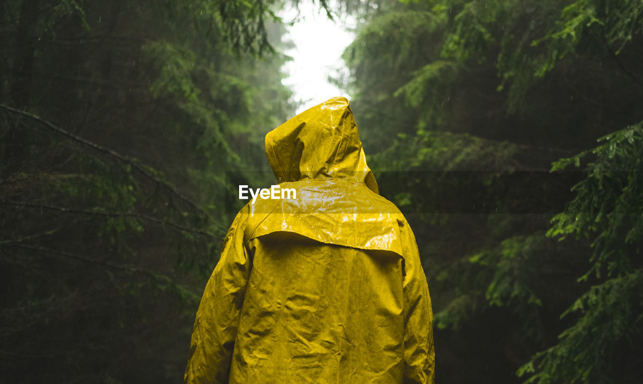 Rear view of man wearing yellow raincoat in forest during rain
