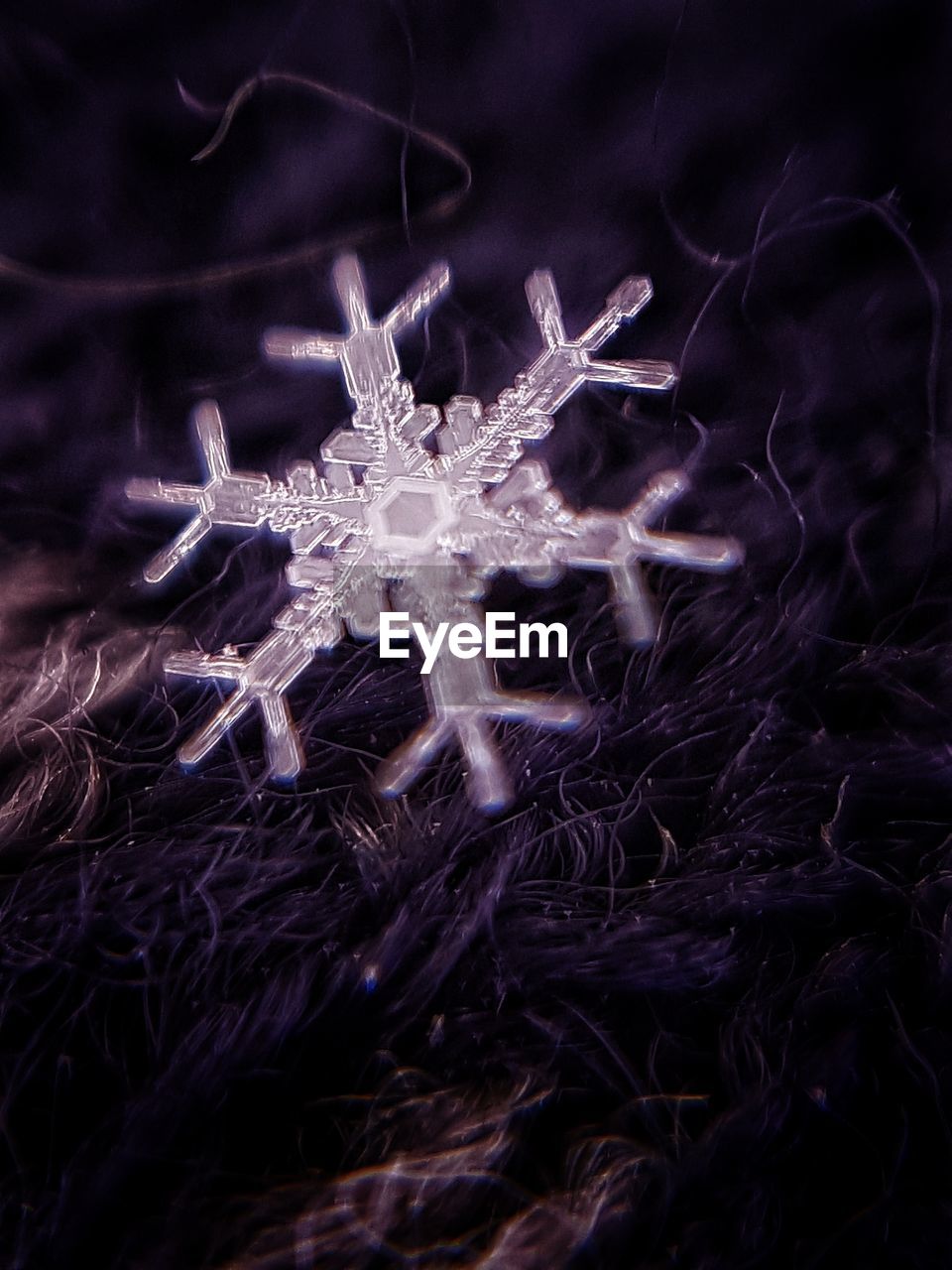 Close-up of real snowflake 