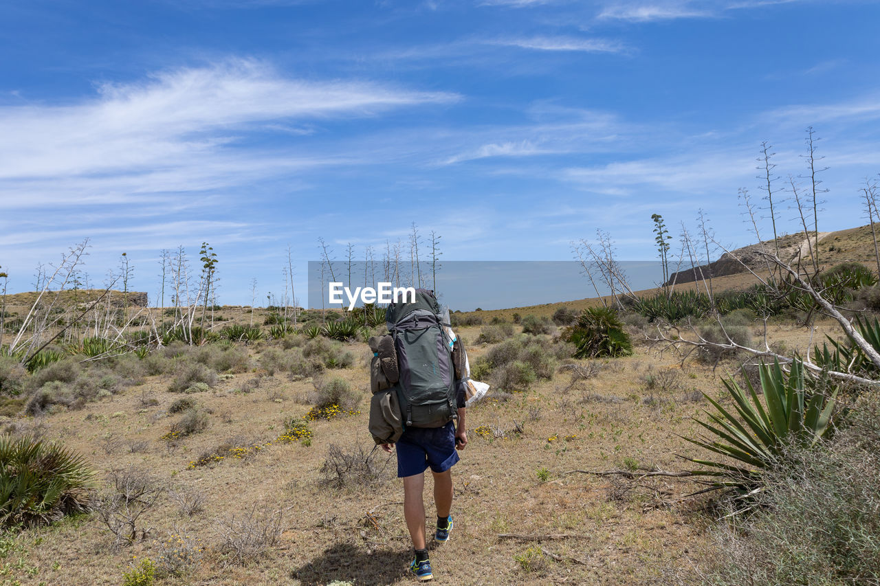 rear view of man standing on beach against sky