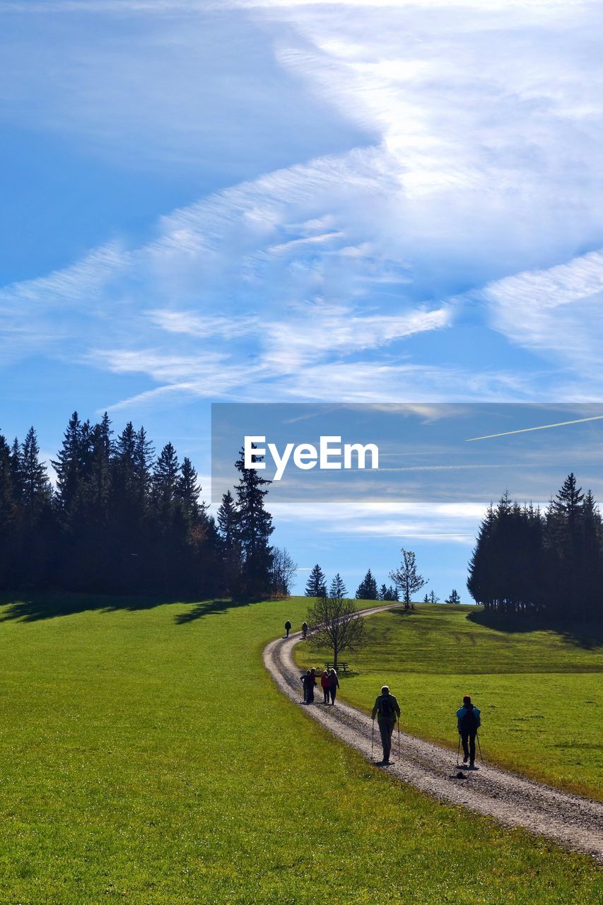 SCENIC VIEW OF GREEN FIELD AGAINST SKY