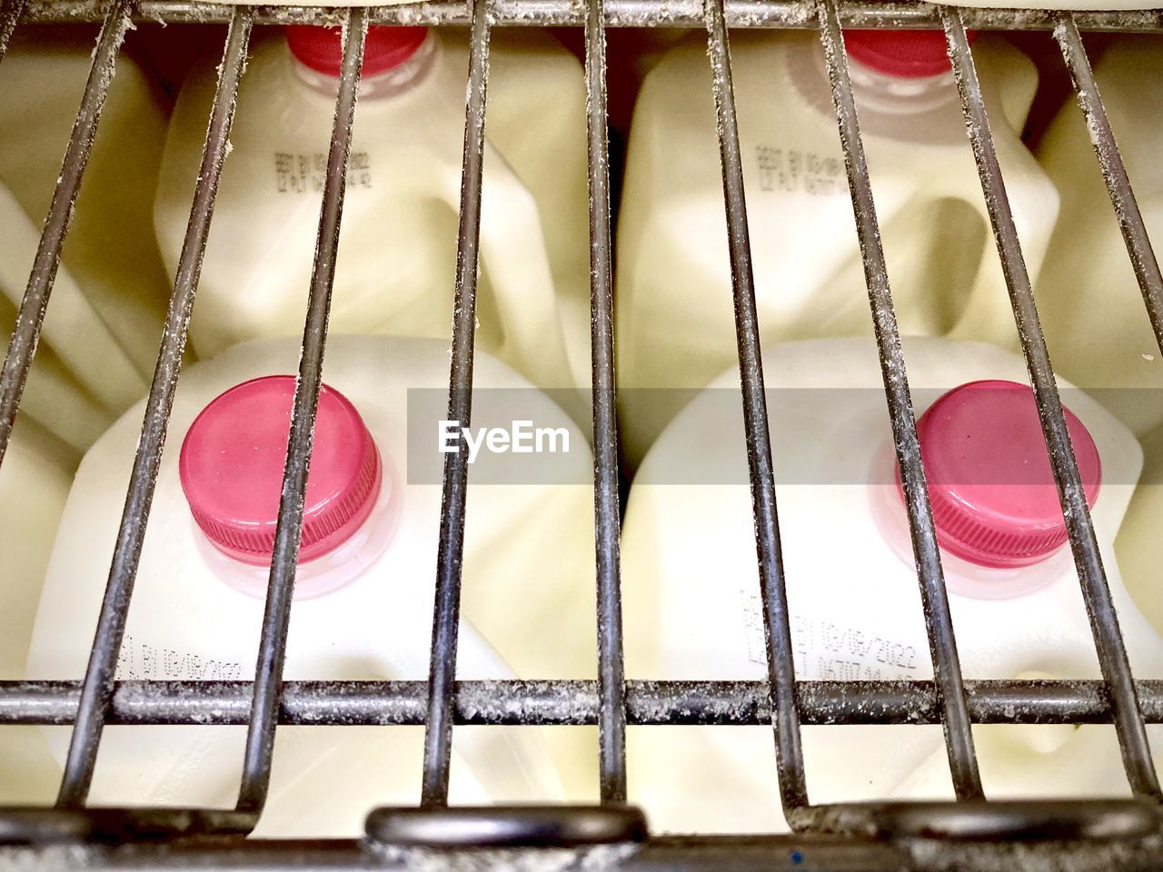 Refrigerator shelf in market with rows of gallon jugs of milk with pink caps