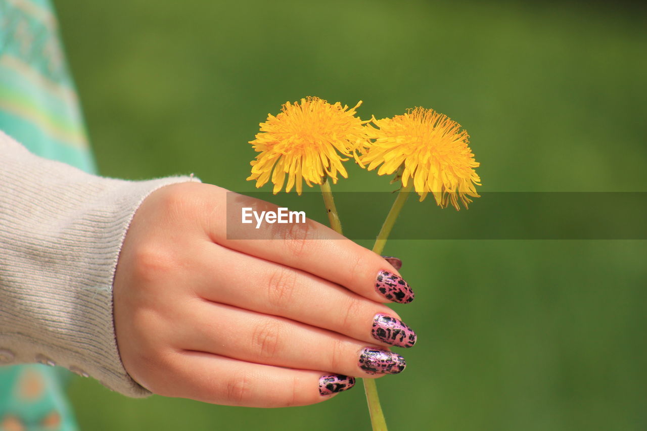 Cropped image of woman with nail art holding yellow flowers