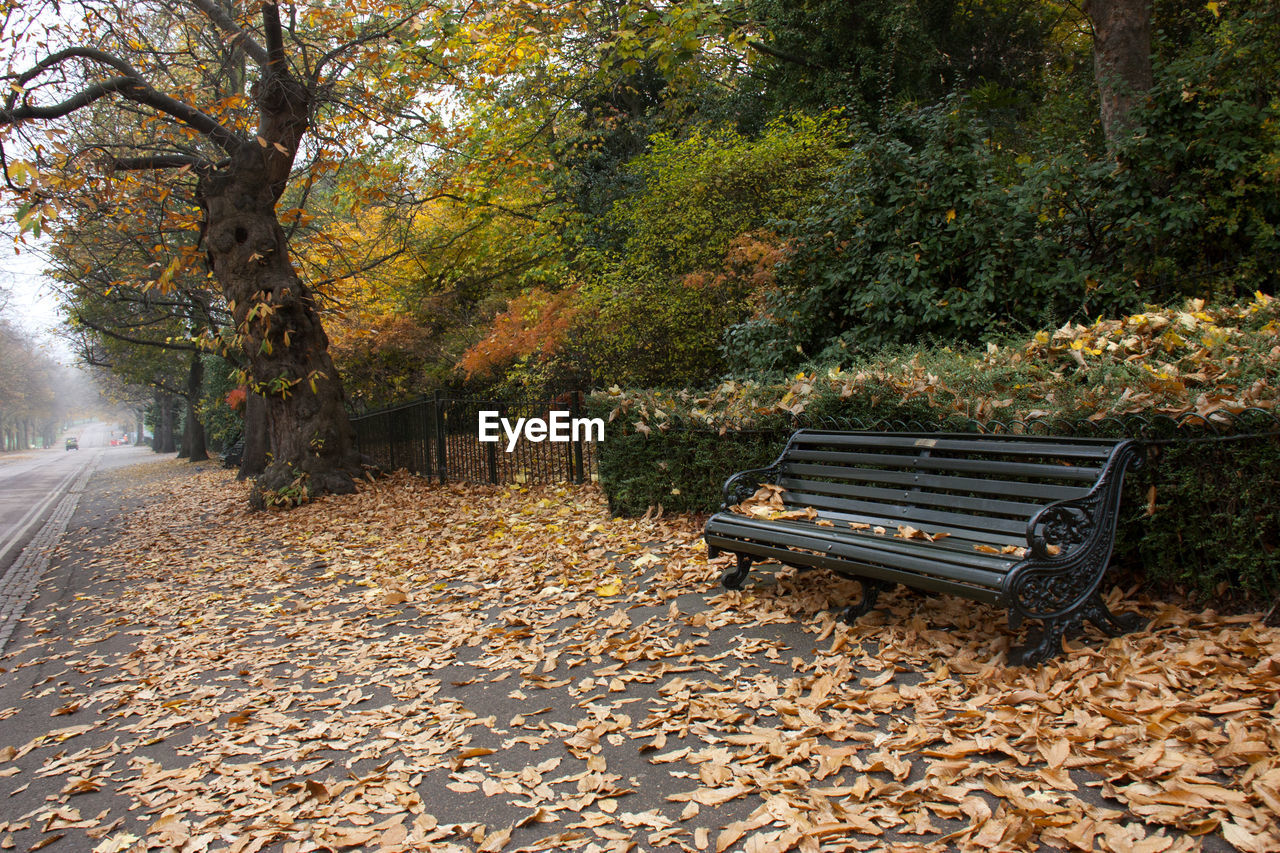 Empty bench on sidewalk surrounded by dry leaves against trees during autumn