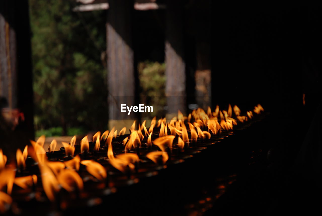 Close-up of lit candles at buddhist temple