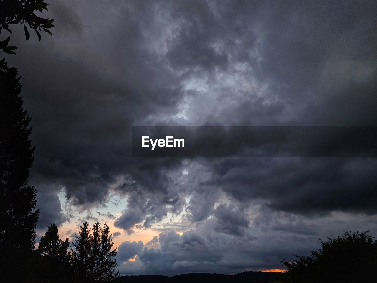 LOW ANGLE VIEW OF STORM CLOUDS OVER TREES