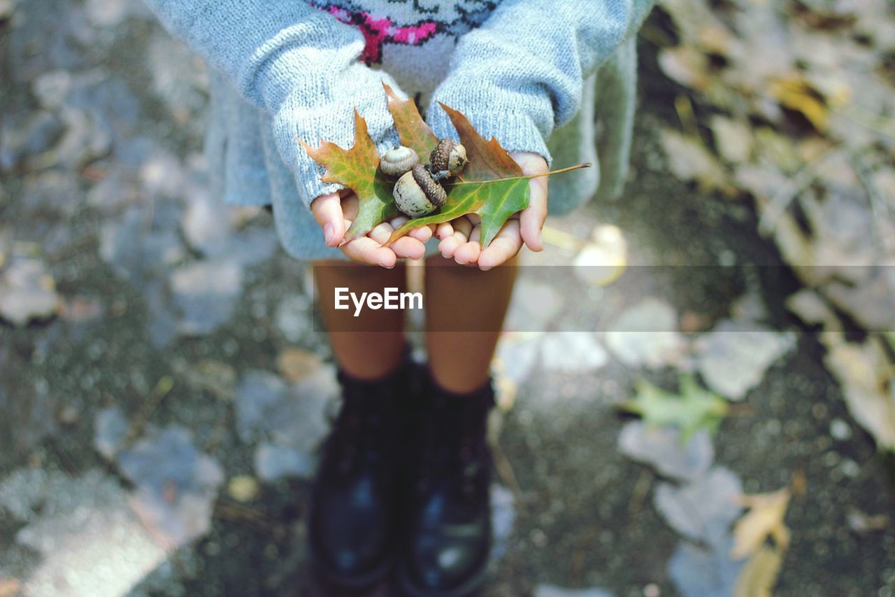 Low section of woman holding plants