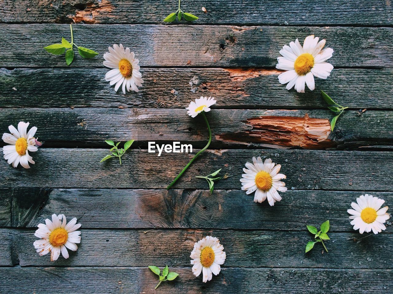 High angle view of flowers and leaves on wooden table