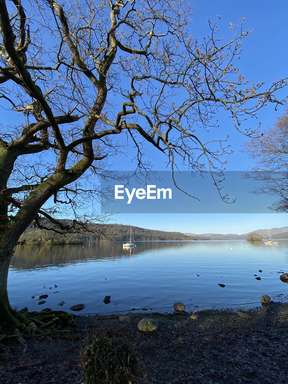 Scenic view of lake against blue sky