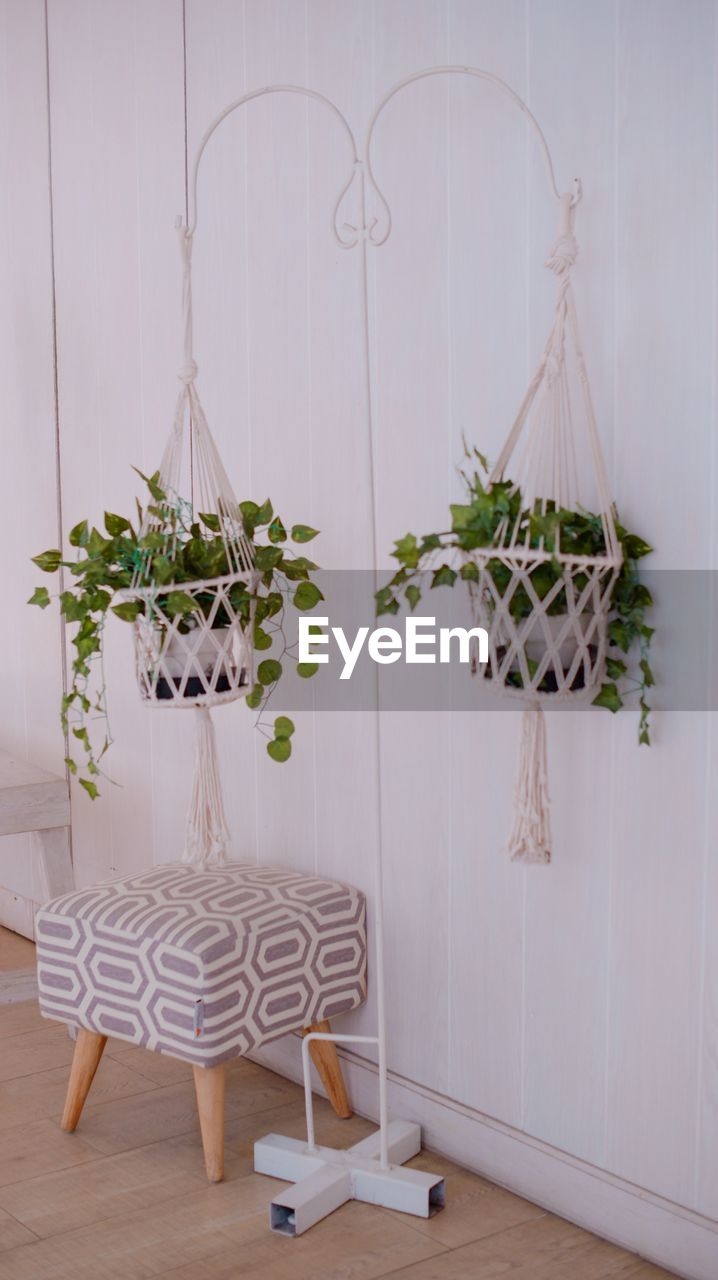 Hanging plant for home decoration