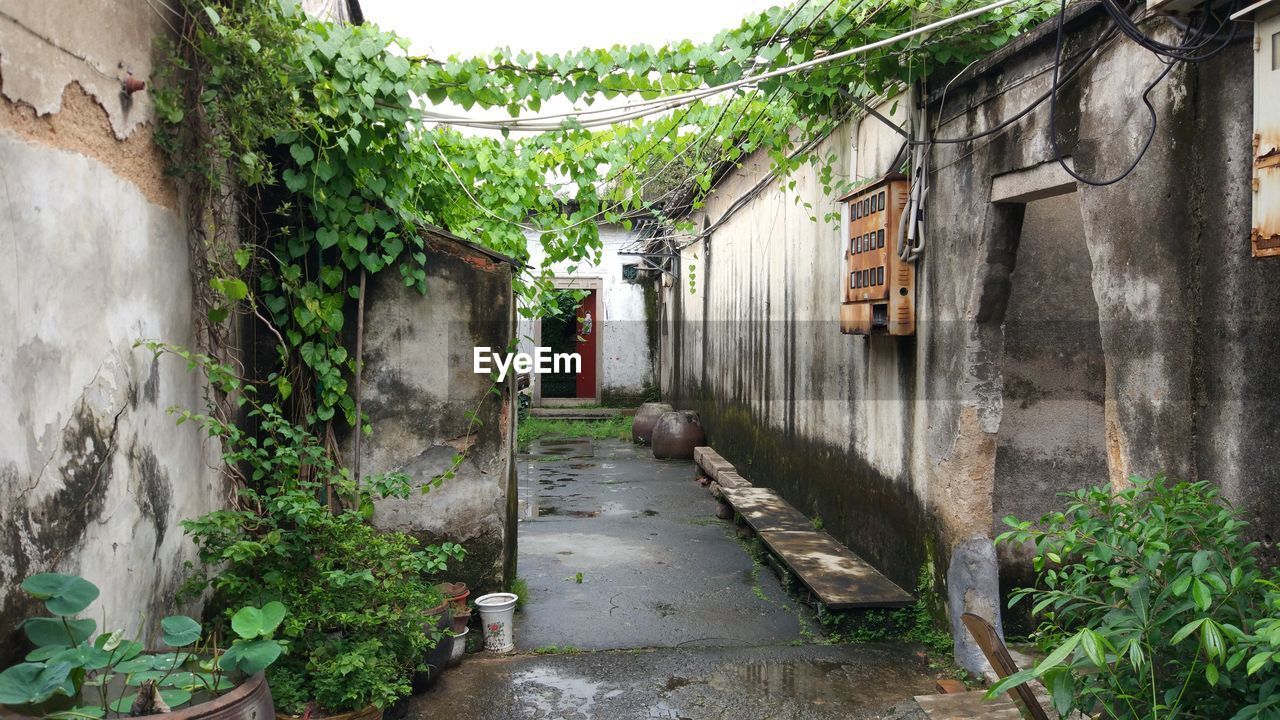 NARROW WALKWAY ALONG BUILDINGS