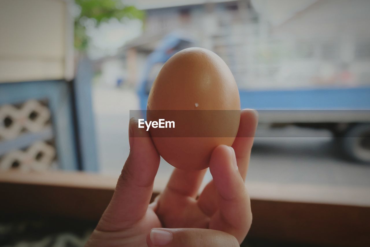Close-up of person holding egg