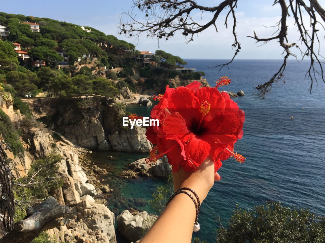 Cropped image of woman holding red hibiscus in front of sea