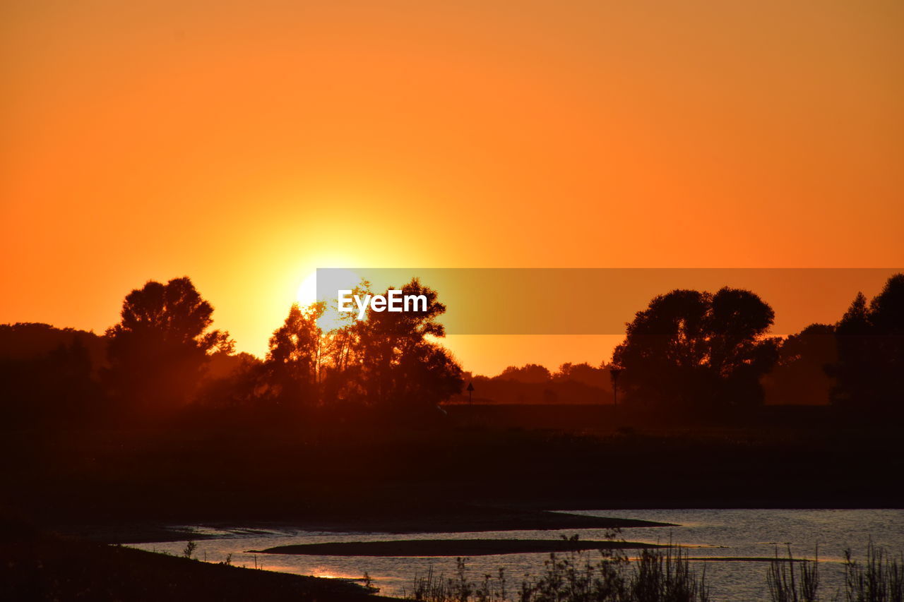 SILHOUETTE TREES AGAINST ORANGE SKY