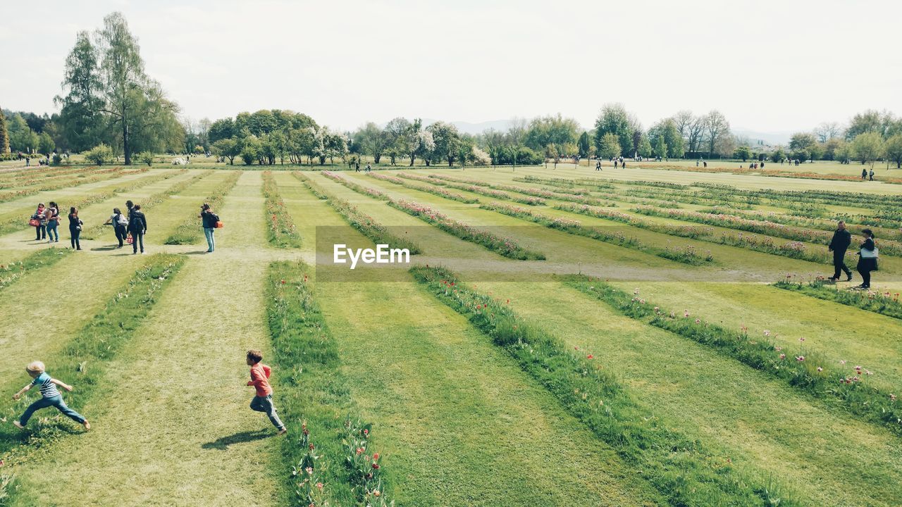 PEOPLE WALKING ON FIELD BY TREES AGAINST SKY