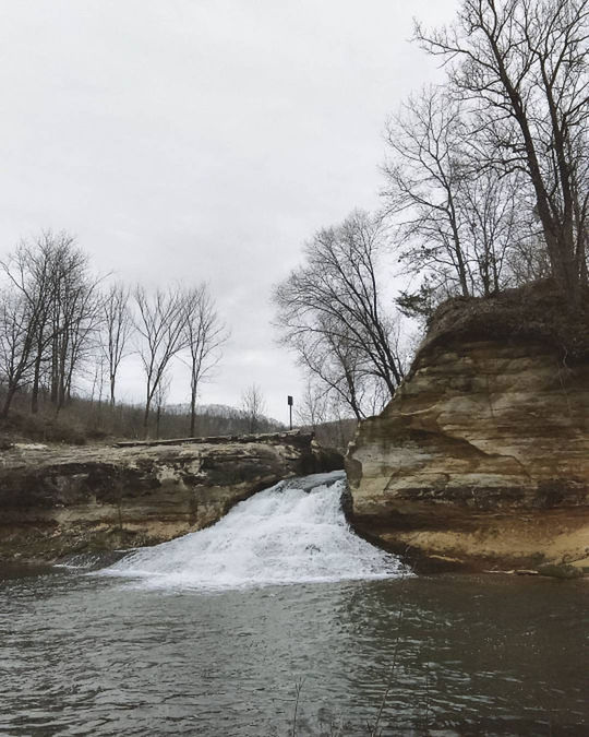 BARE TREES ON RIVER