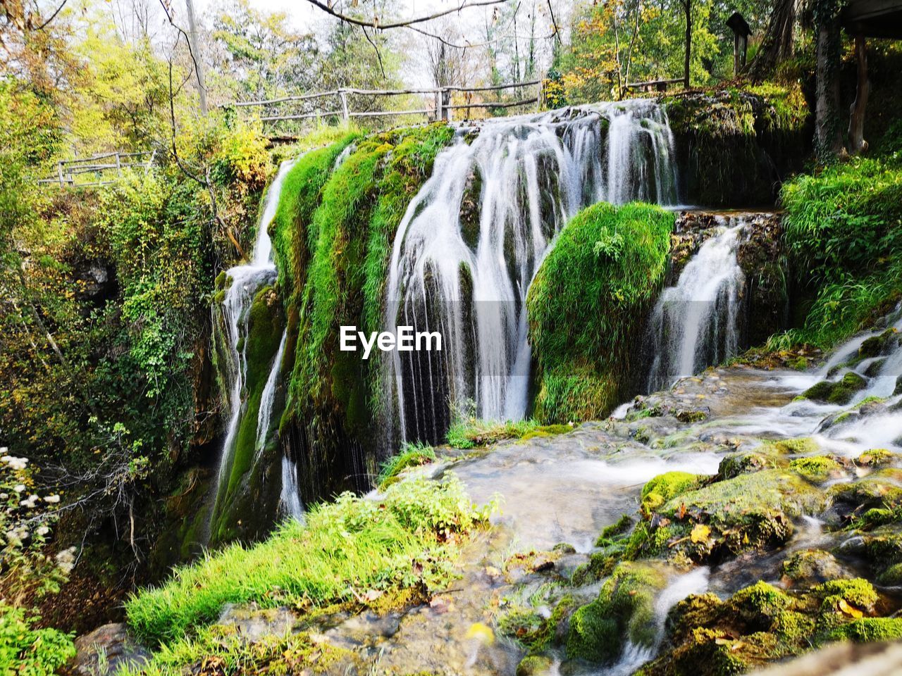 Scenic view of waterfall in forest