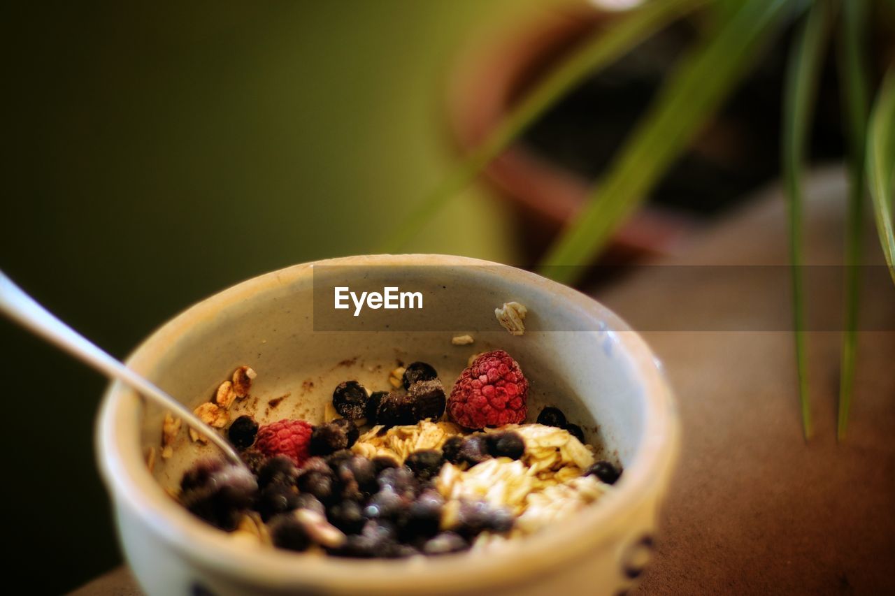 Close-up of breakfast served in bowl