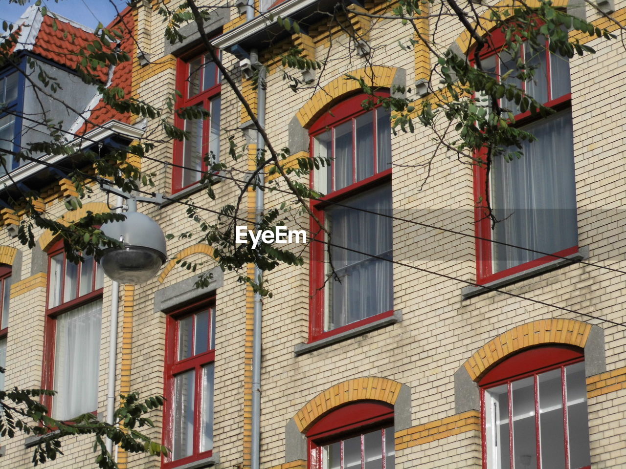 Low angle view of building and tree