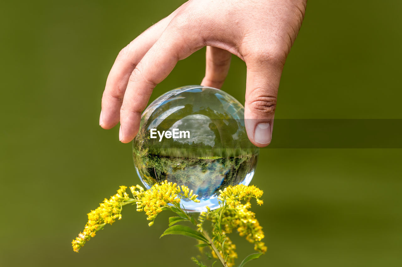 A man's hand reaches for a glass globe with a mirrored lake, trees and sky 