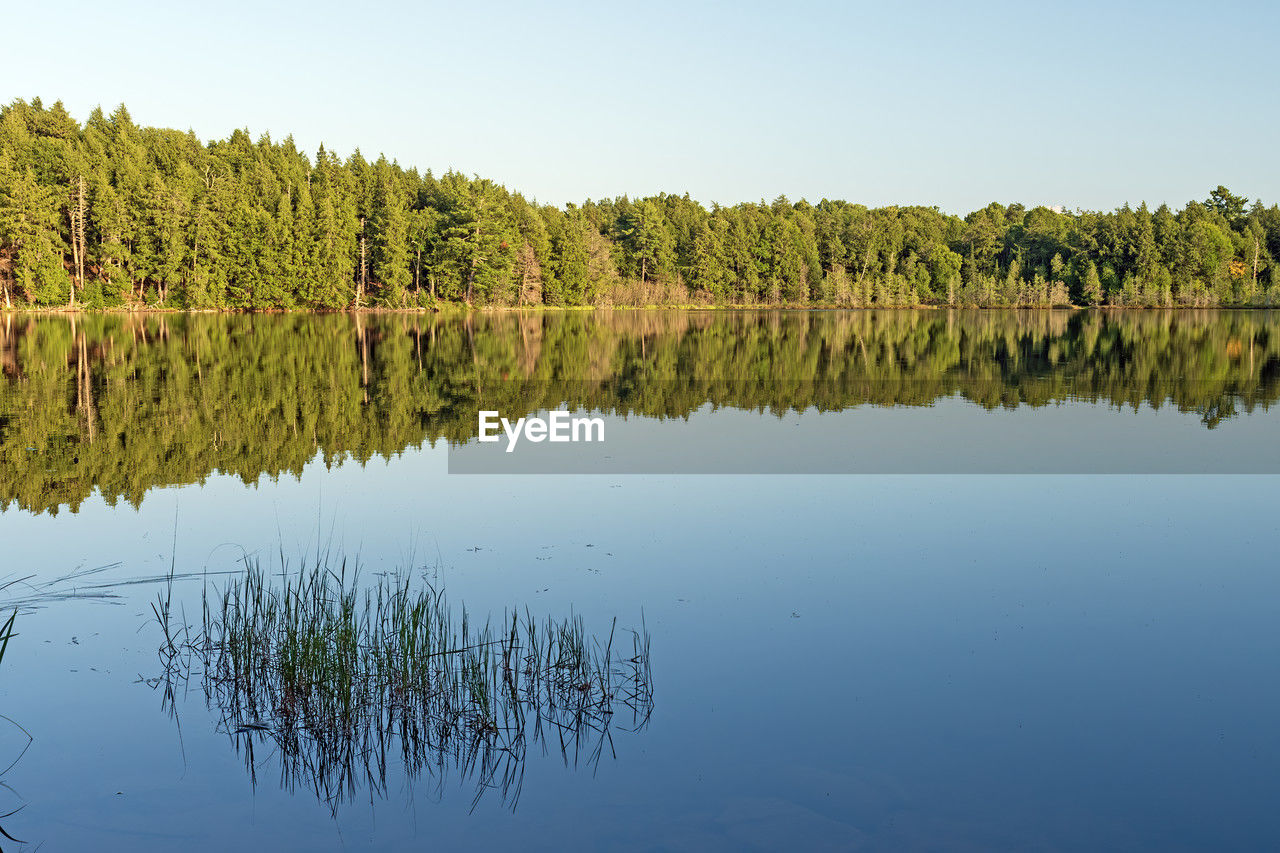 reflection, water, lake, nature, tree, plant, beauty in nature, tranquility, sky, scenics - nature, wilderness, reservoir, natural environment, tranquil scene, no people, landscape, body of water, environment, autumn, reflection lake, forest, clear sky, outdoors, blue, land, wetland, non-urban scene, day, standing water, marsh, travel destinations, green, travel, morning