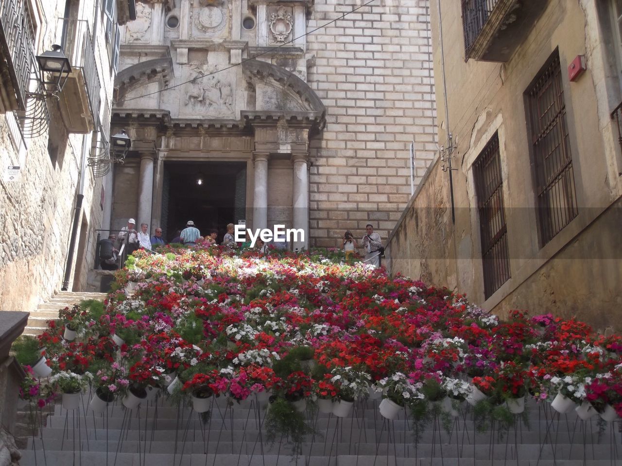 VIEW OF PLANTS AND BUILDINGS IN CITY