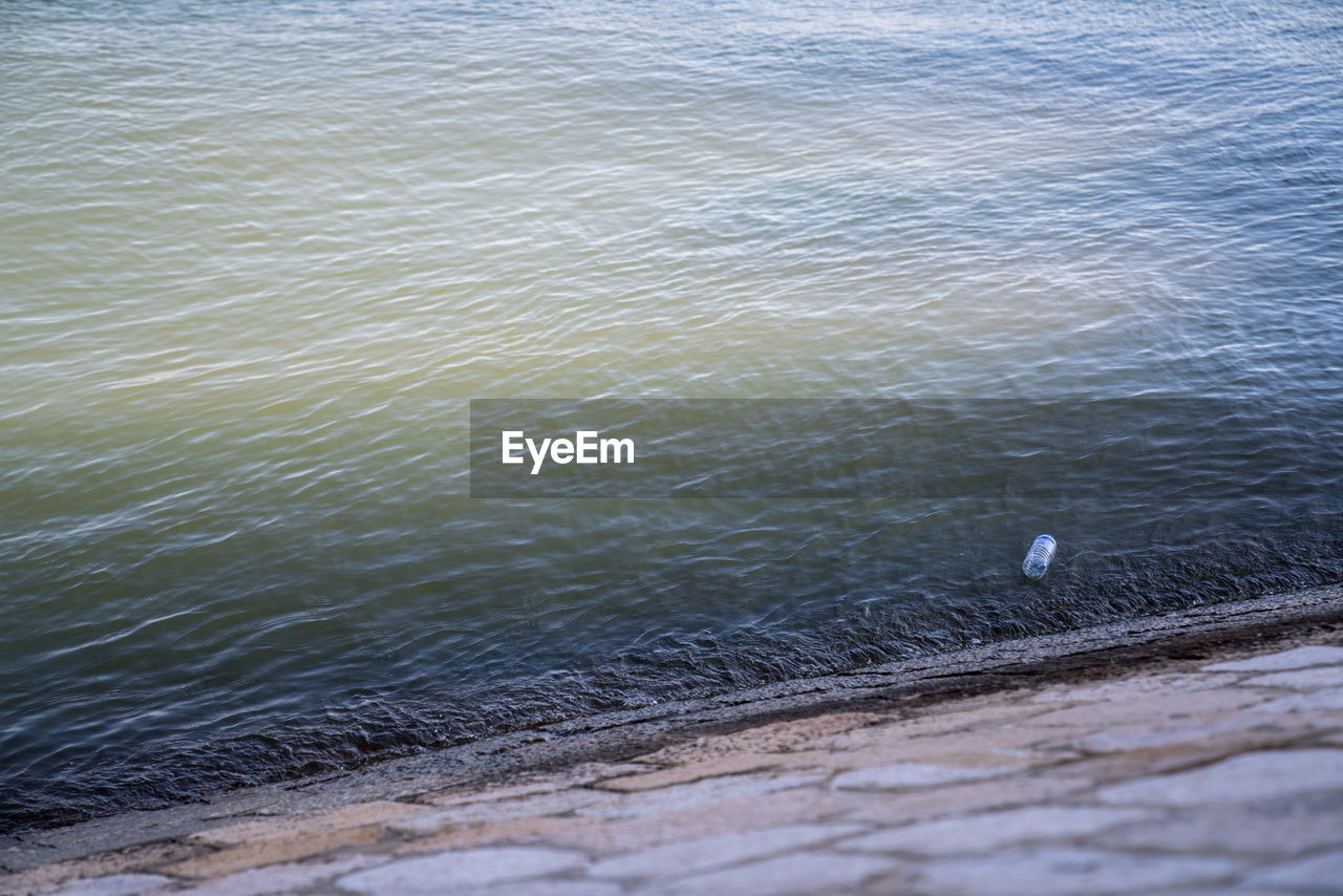 HIGH ANGLE VIEW OF BIRD SWIMMING ON SEA