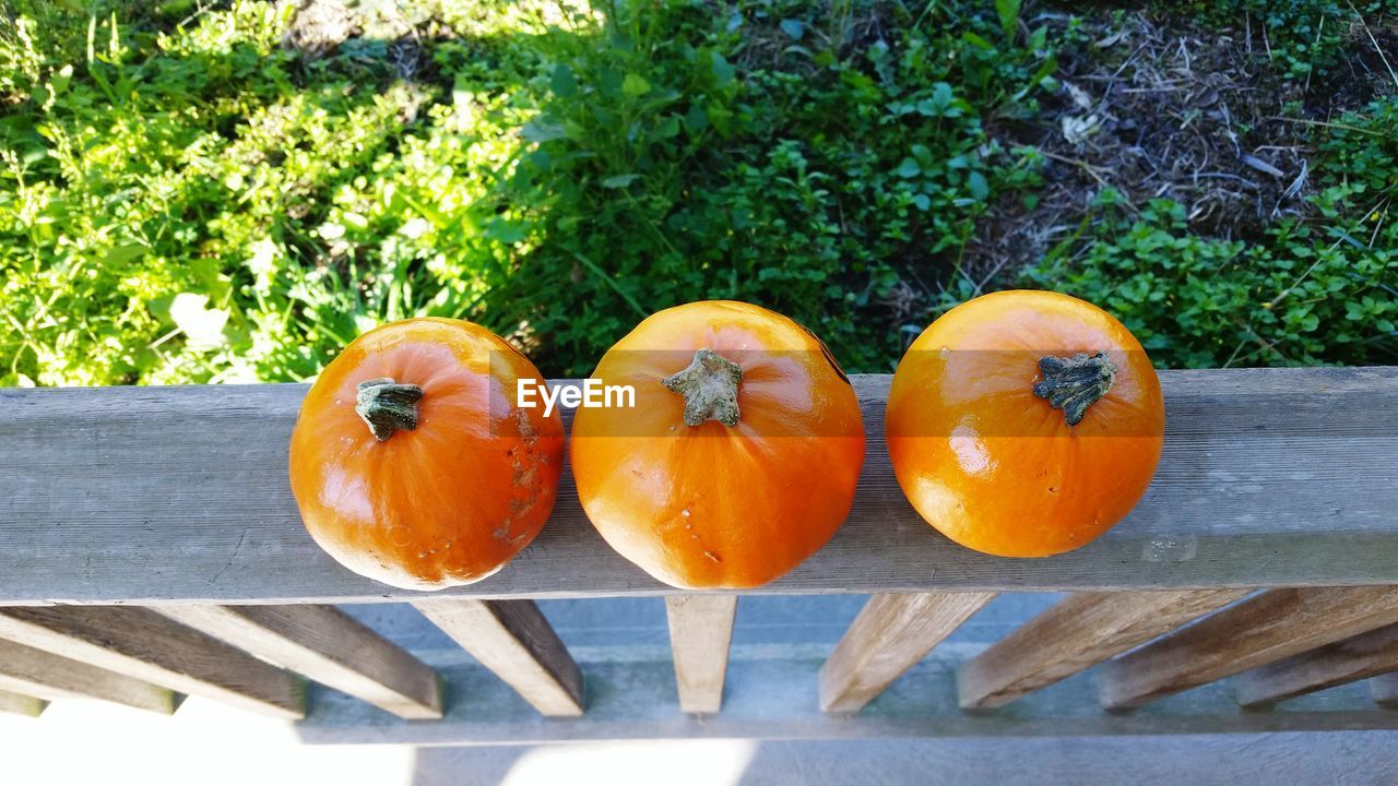 Close-up of orange eggs on wooden surface